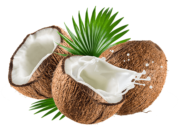 Pure Coconut